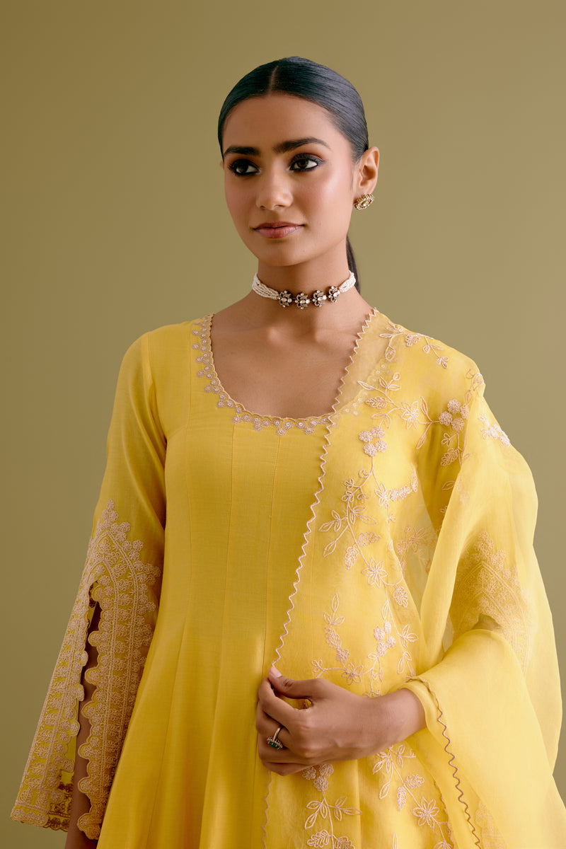 Yellow Dori Embroidered Anarkali Set