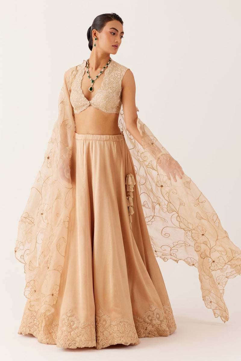 Golden Beige Embroidered Silk Satin Lehenga