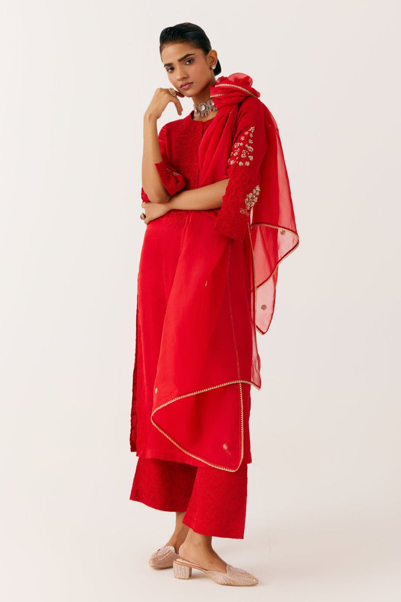 Ruby Red Dori and Sequins Embroidered Kurta Set