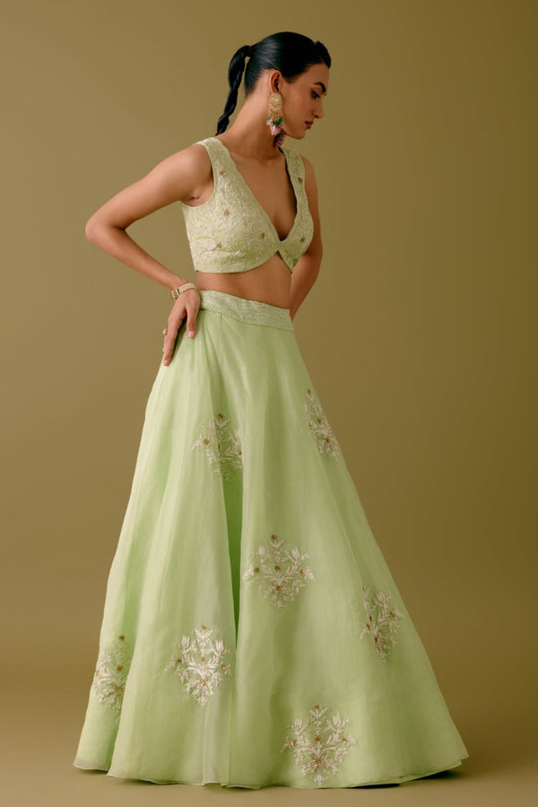 Pistachio Green Dori and Sequins Embroidered Lehenga Set