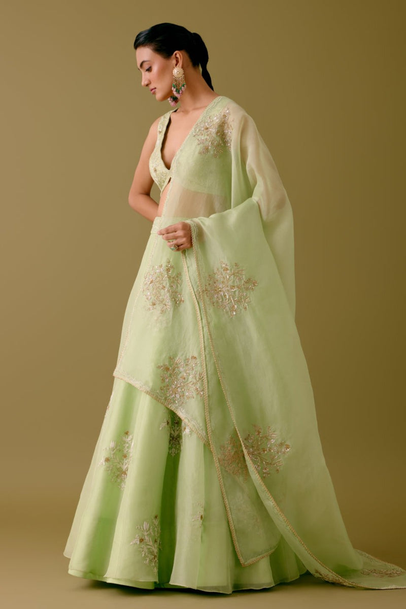 Pistachio Green Dori and Sequins Embroidered Lehenga Set