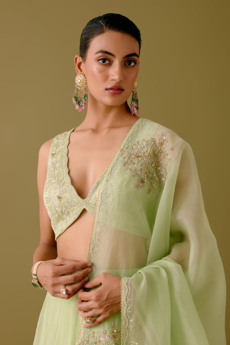 Pistachio Green Dori and Sequins Embroidered Lehenga Set