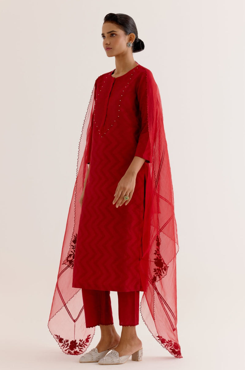 Ruby Red Cotton Silk Blend Block Printed Kurta Set