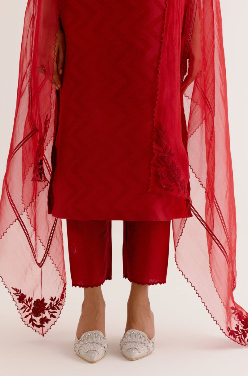 Ruby Red Cotton Silk Blend Block Printed Kurta Set