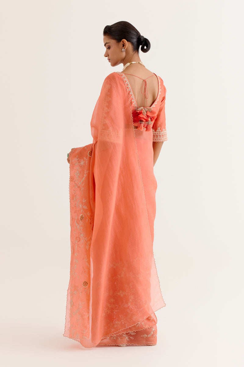 Coral Embroidered Organza Saree