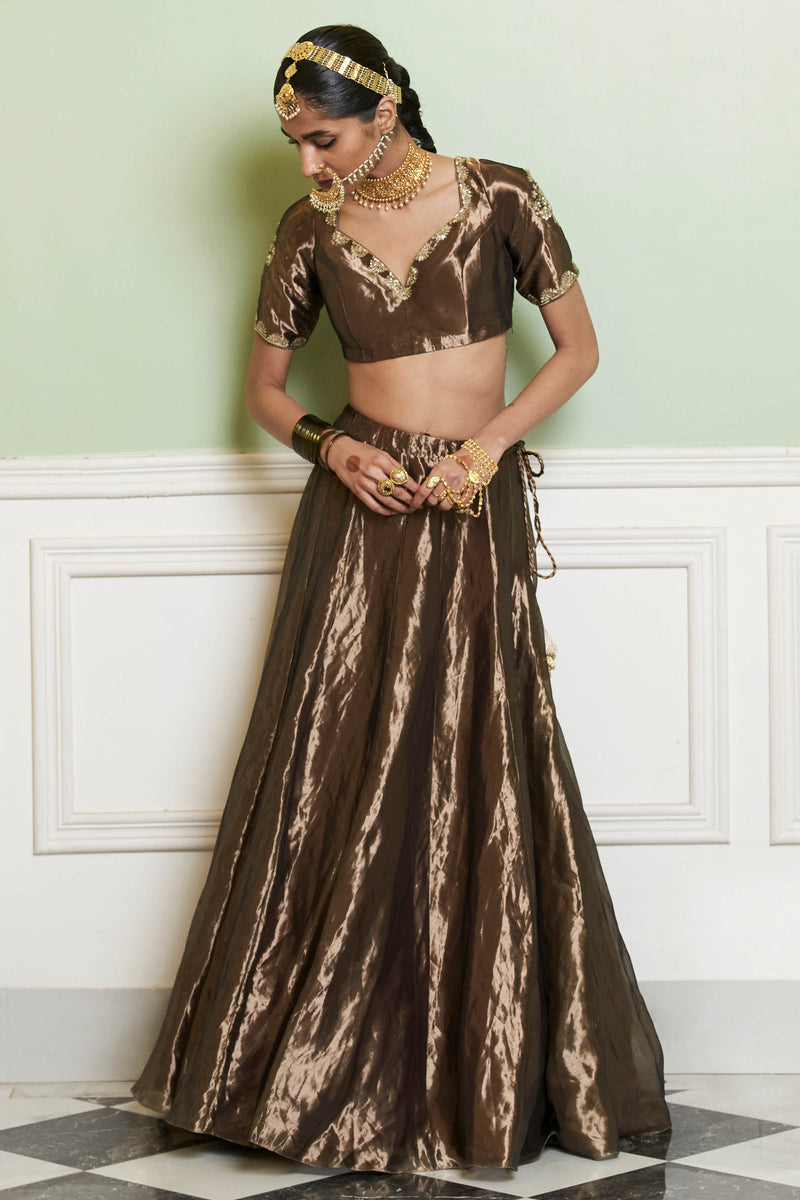 Gold Silk Tissue Embroidered Lehenga Set