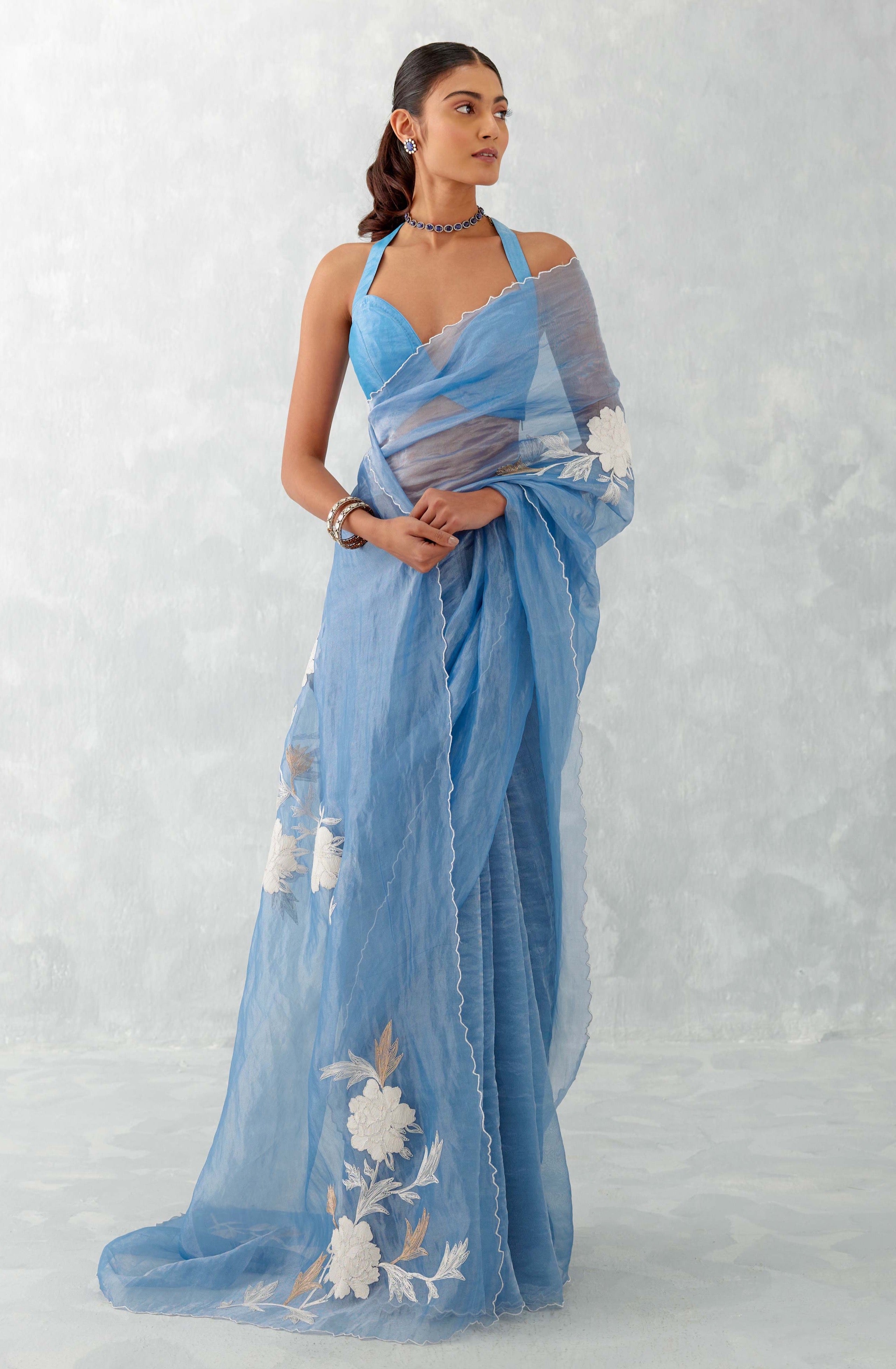 Devnaagri - Ice Blue Embroidered Shimmer Organza Saree