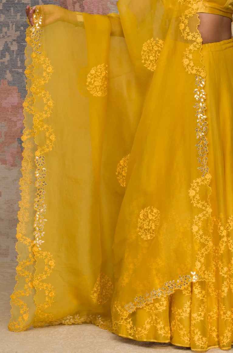 Mustard Organza Lehenga Set